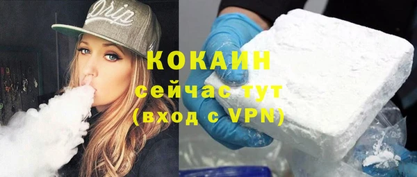 дмт Абаза