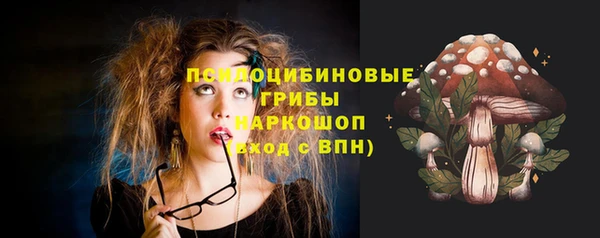 индика Абинск