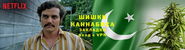 дмт Абаза