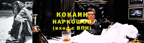 индика Абинск