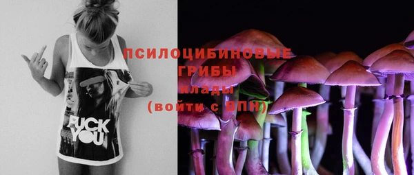 индика Абинск