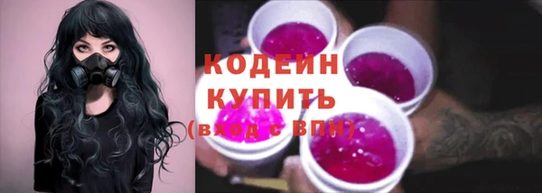 индика Абинск