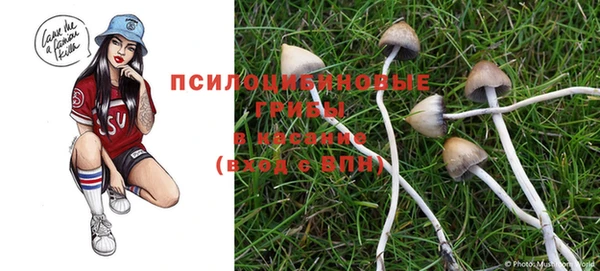 индика Абинск