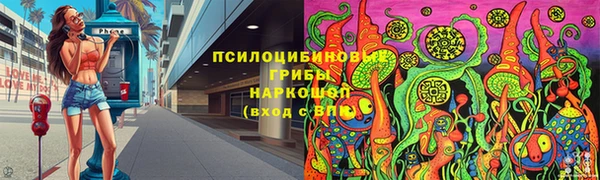 дмт Абаза
