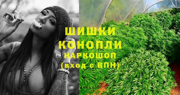 дмт Абаза