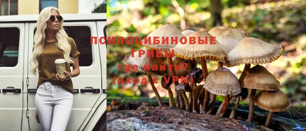 дмт Абаза
