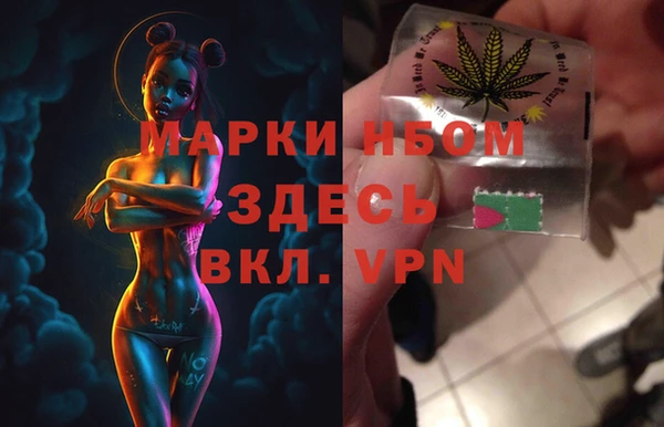 индика Абинск