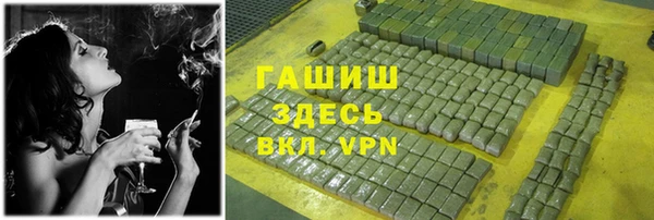 индика Абинск
