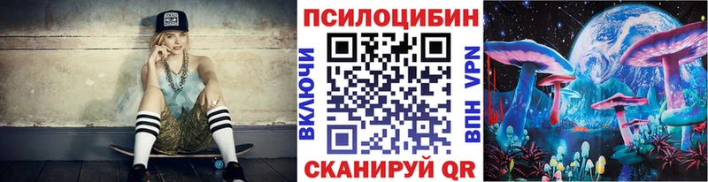 Псилоцибиновые грибы Cubensis  закладка  Яхрома 